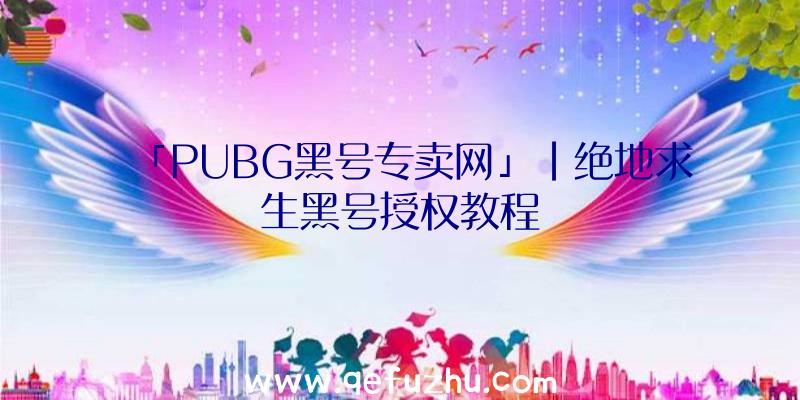 「PUBG黑号专卖网」|绝地求生黑号授权教程